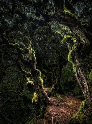 Mount Dulang-Dulang iconic peak