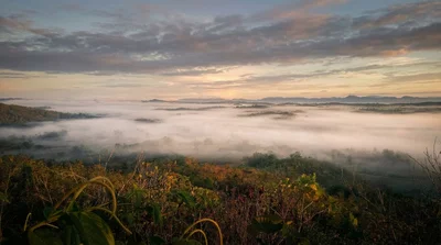 Eye Camp scenic view